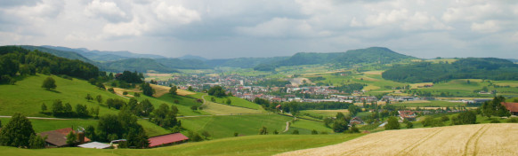 Titelbild Newsletter