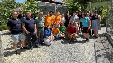 Da pfeift es einem schon mal gehörig um die Ohren