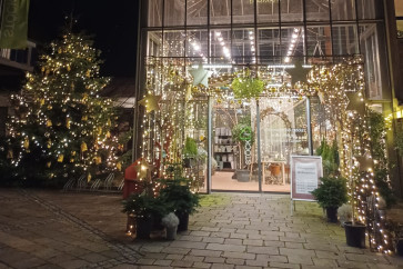 Gewinner/innen Fotowettbewerb